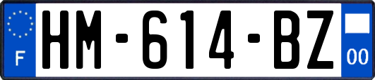 HM-614-BZ