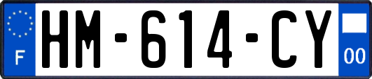 HM-614-CY