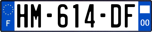 HM-614-DF