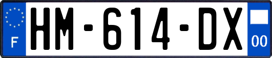 HM-614-DX