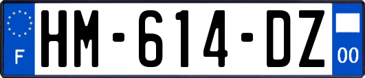 HM-614-DZ