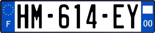 HM-614-EY