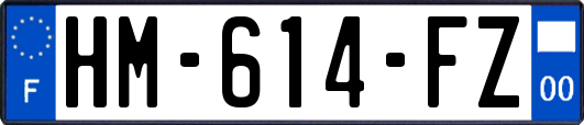 HM-614-FZ
