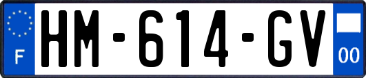 HM-614-GV