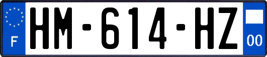 HM-614-HZ