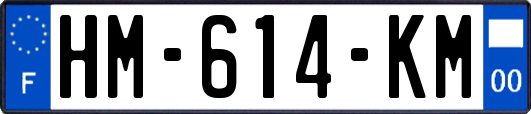 HM-614-KM