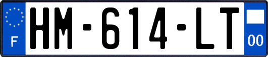 HM-614-LT