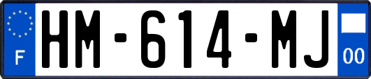 HM-614-MJ