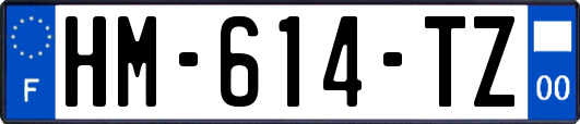 HM-614-TZ