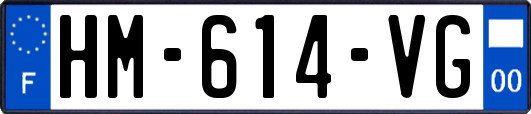 HM-614-VG