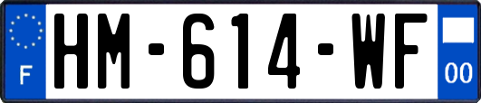 HM-614-WF
