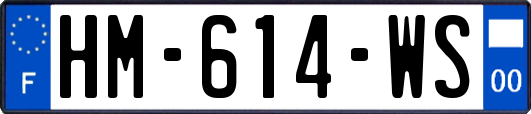 HM-614-WS
