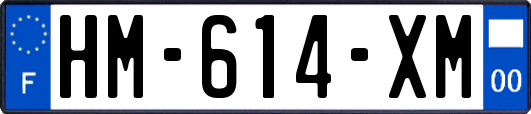 HM-614-XM