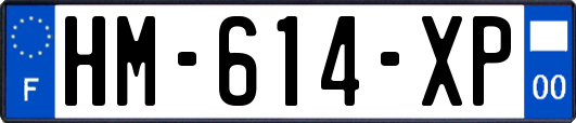 HM-614-XP