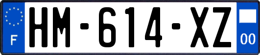 HM-614-XZ