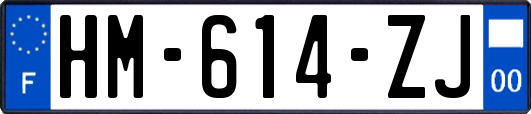 HM-614-ZJ