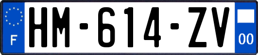 HM-614-ZV