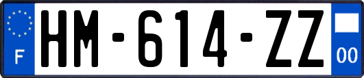HM-614-ZZ