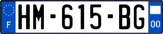 HM-615-BG