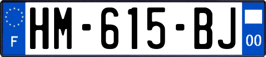 HM-615-BJ