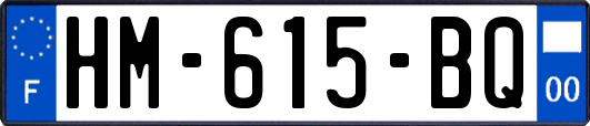 HM-615-BQ