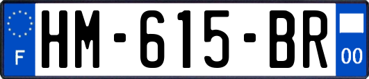 HM-615-BR