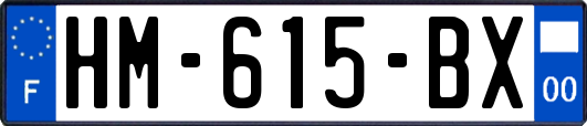 HM-615-BX