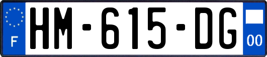 HM-615-DG