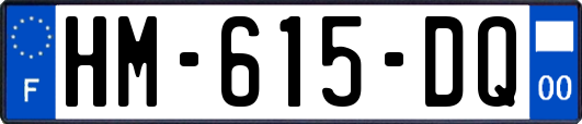 HM-615-DQ