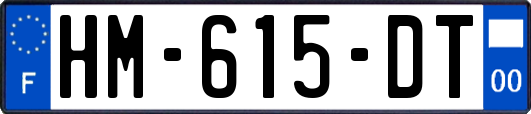 HM-615-DT