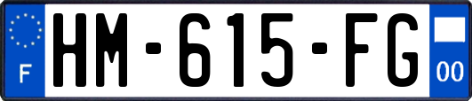 HM-615-FG