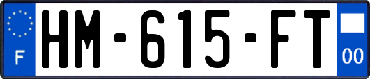 HM-615-FT