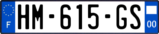 HM-615-GS