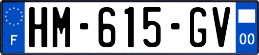 HM-615-GV