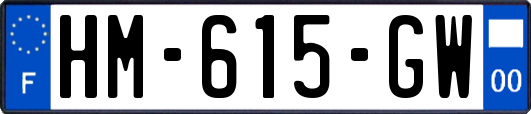 HM-615-GW