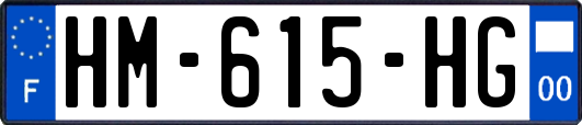 HM-615-HG
