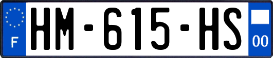 HM-615-HS