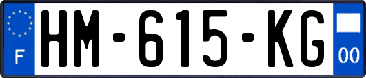 HM-615-KG
