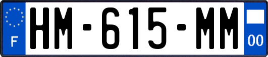 HM-615-MM