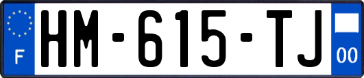 HM-615-TJ