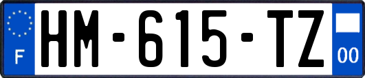 HM-615-TZ