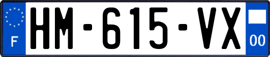 HM-615-VX