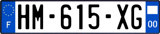 HM-615-XG