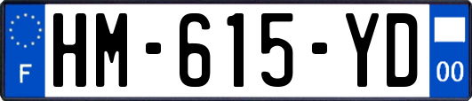 HM-615-YD