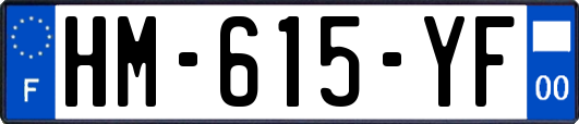 HM-615-YF