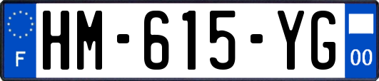 HM-615-YG