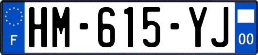 HM-615-YJ
