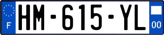 HM-615-YL