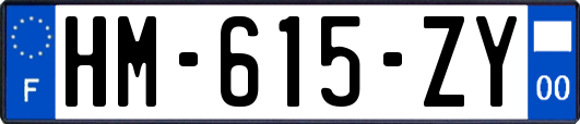 HM-615-ZY
