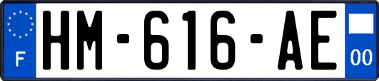 HM-616-AE